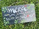 IMG_6418.webp